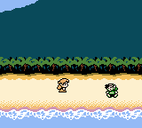 Marin, an islander girl, will discover an unconscious Link lying on the beach and take him home. She looks a bit like Zelda... Who is she really?